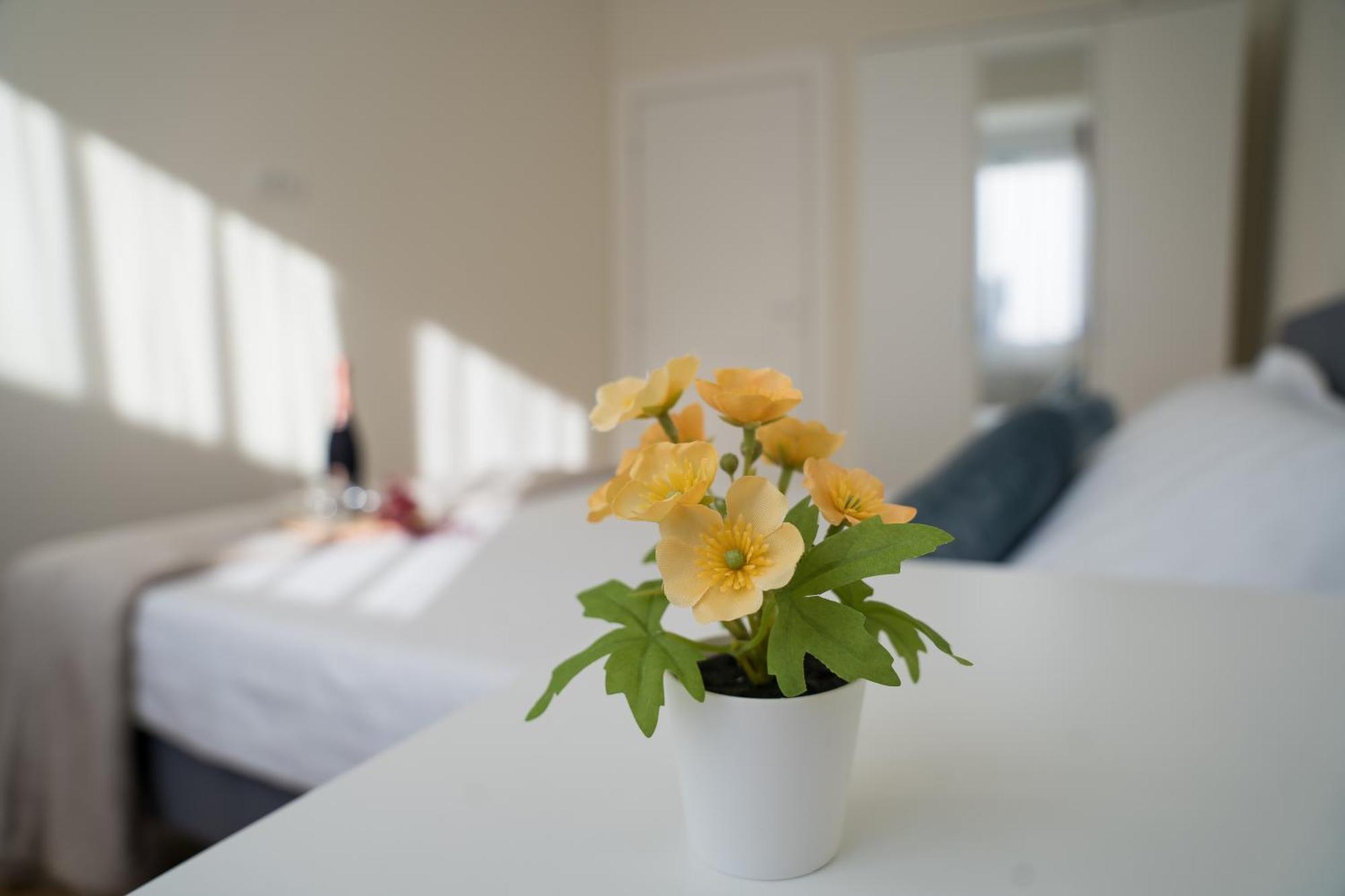 Azaleea Apartments บูคาเรสต์ ภายนอก รูปภาพ